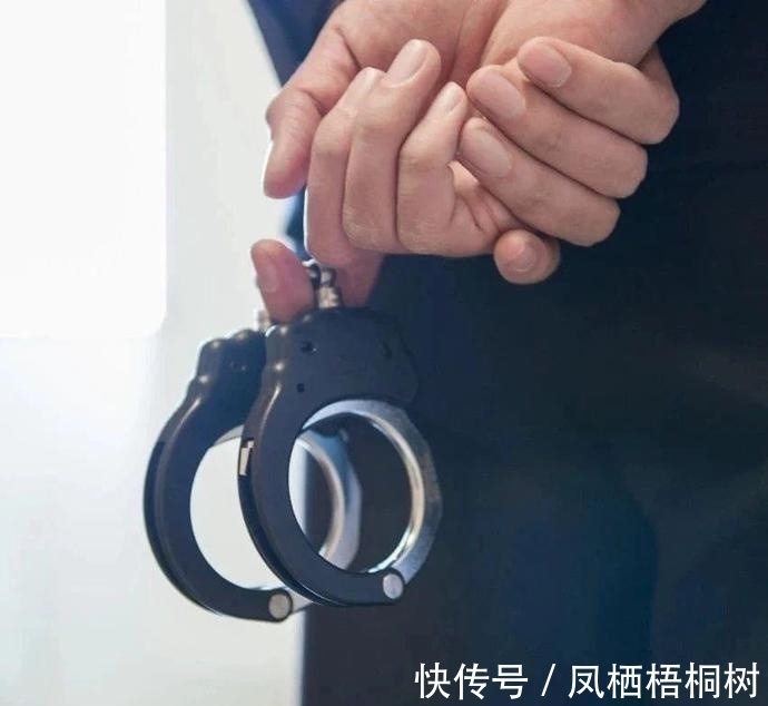 梦幻西游坐骑对人物的影响